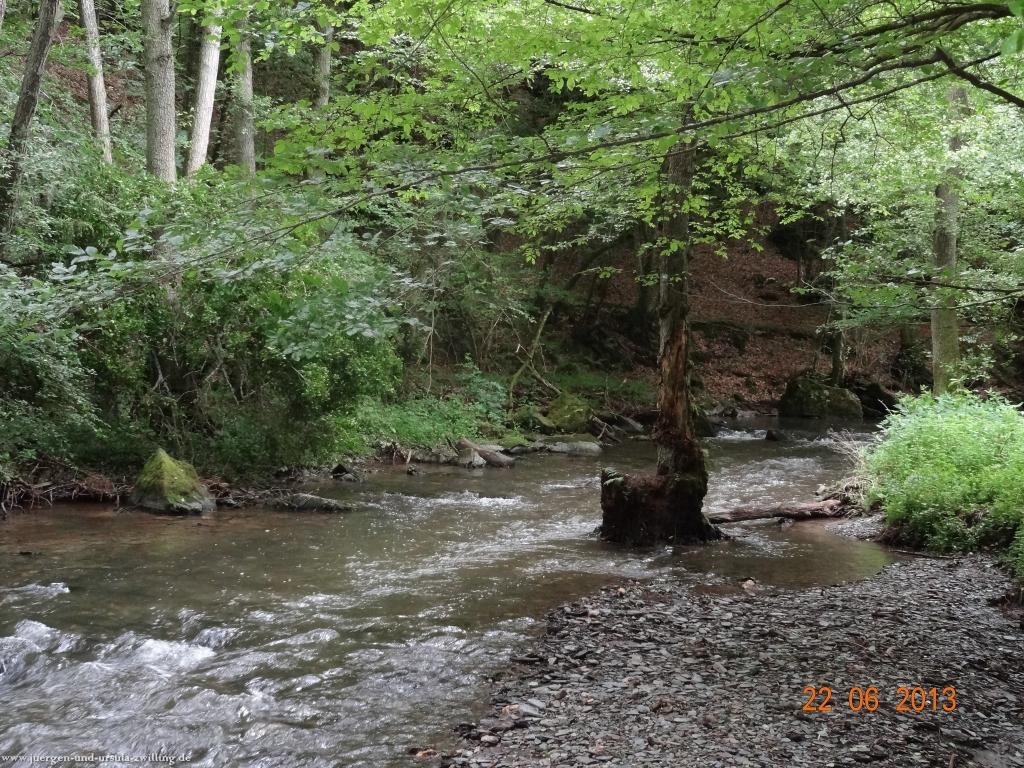 Philosophische Bildwanderung Traumschleife Baybachklamm