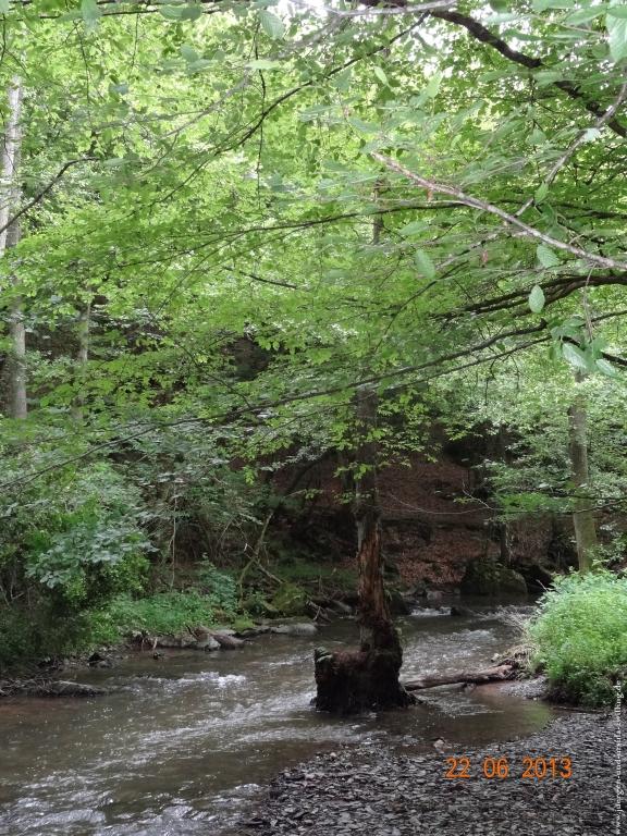 Philosophische Bildwanderung Traumschleife Baybachklamm