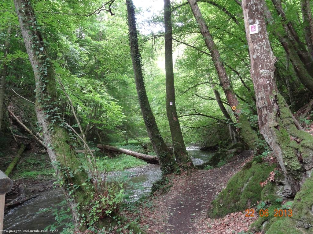 Philosophische Bildwanderung Traumschleife Baybachklamm