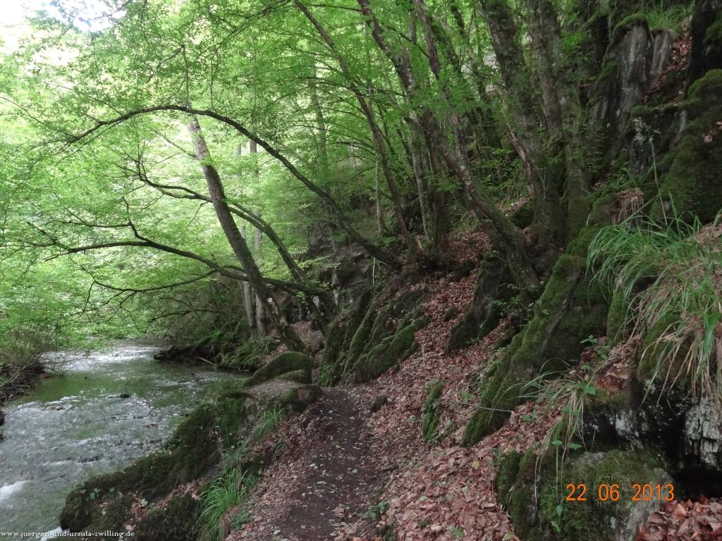 Philosophische Bildwanderung Traumschleife Baybachklamm