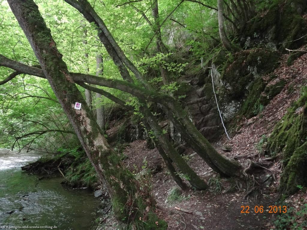 Philosophische Bildwanderung Traumschleife Baybachklamm