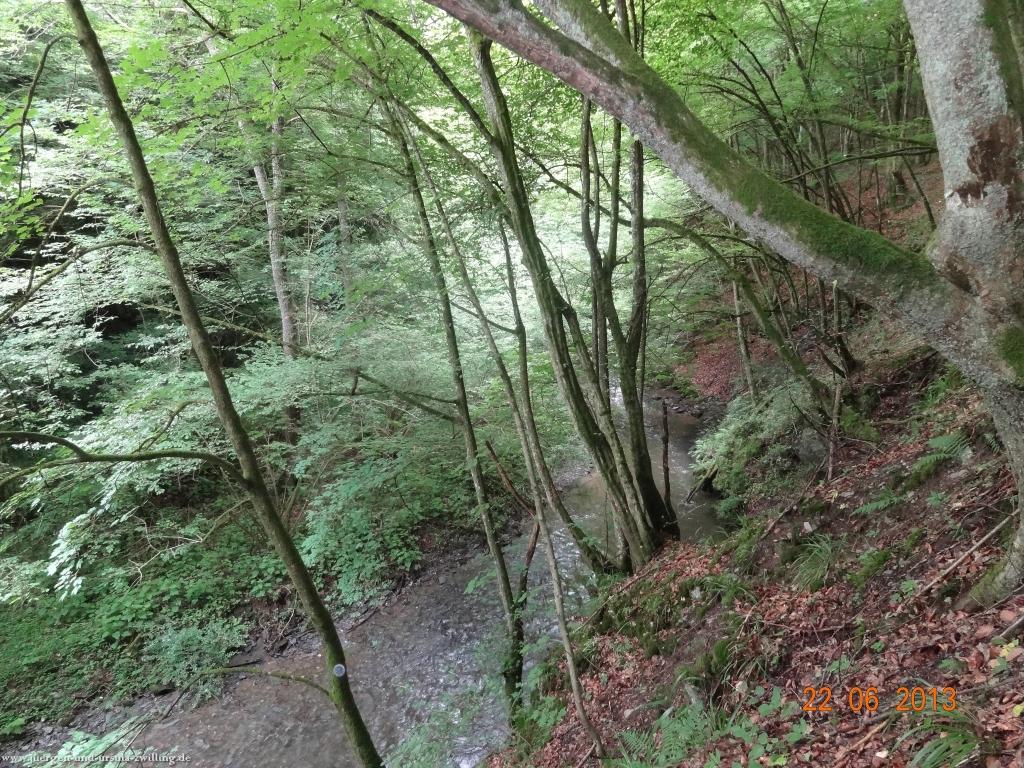 Philosophische Bildwanderung Traumschleife Baybachklamm