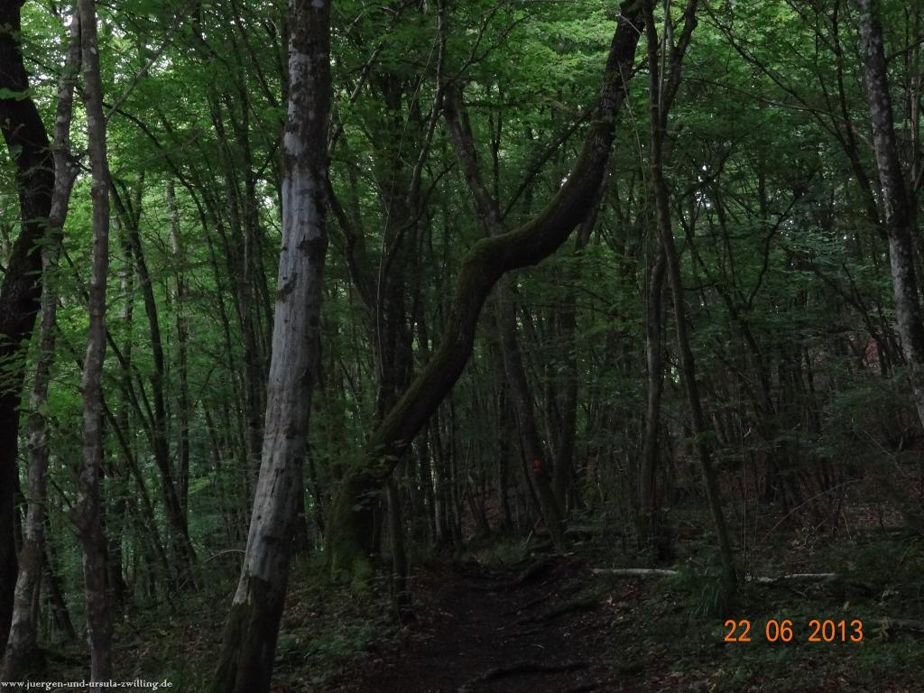 Philosophische Bildwanderung Traumschleife Baybachklamm