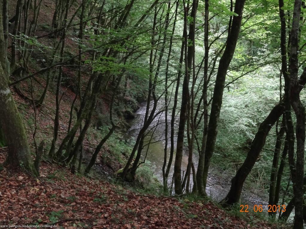 Philosophische Bildwanderung Traumschleife Baybachklamm