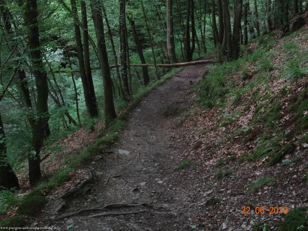 Philosophische Bildwanderung Traumschleife Baybachklamm