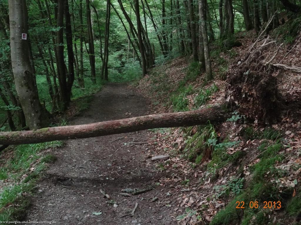 Philosophische Bildwanderung Traumschleife Baybachklamm