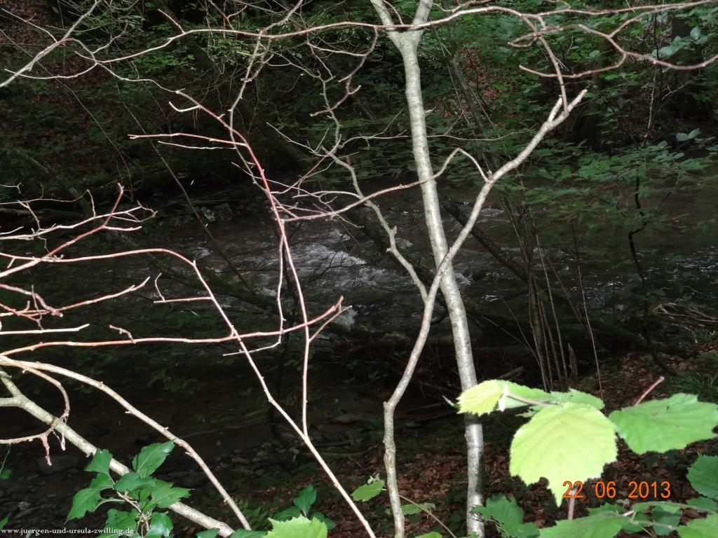 Philosophische Bildwanderung Traumschleife Baybachklamm