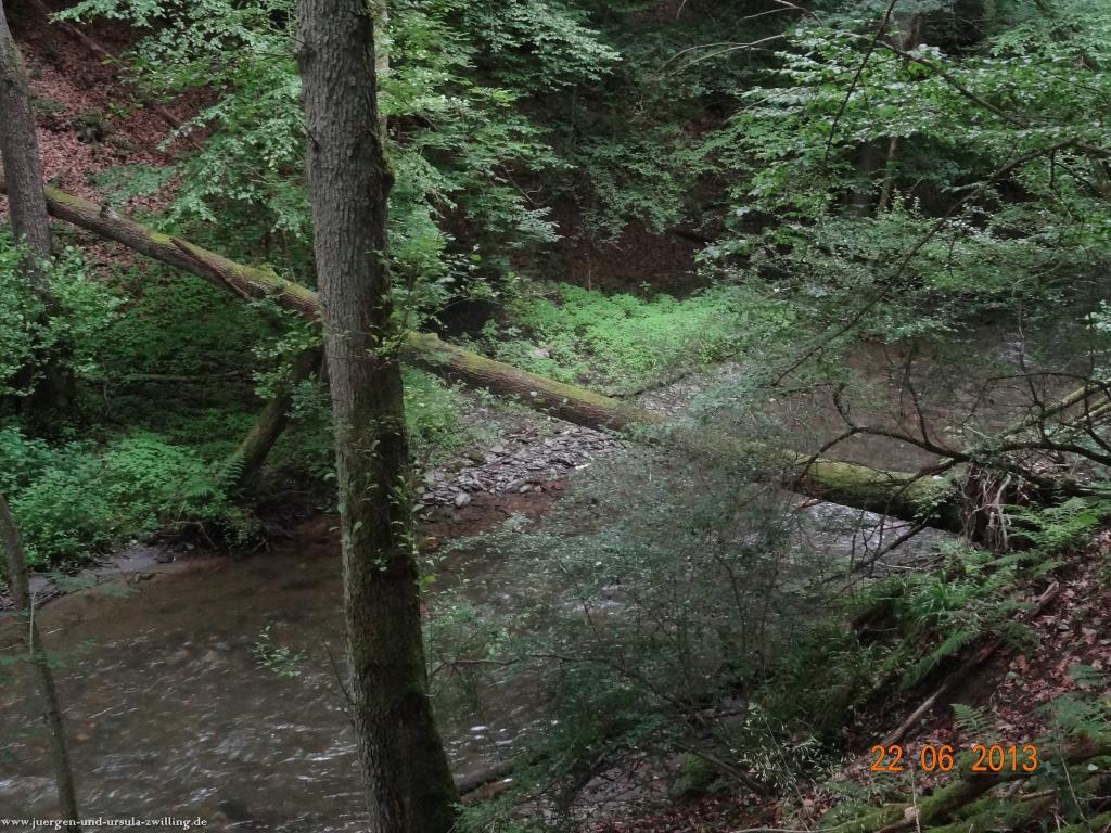 Philosophische Bildwanderung Traumschleife Baybachklamm