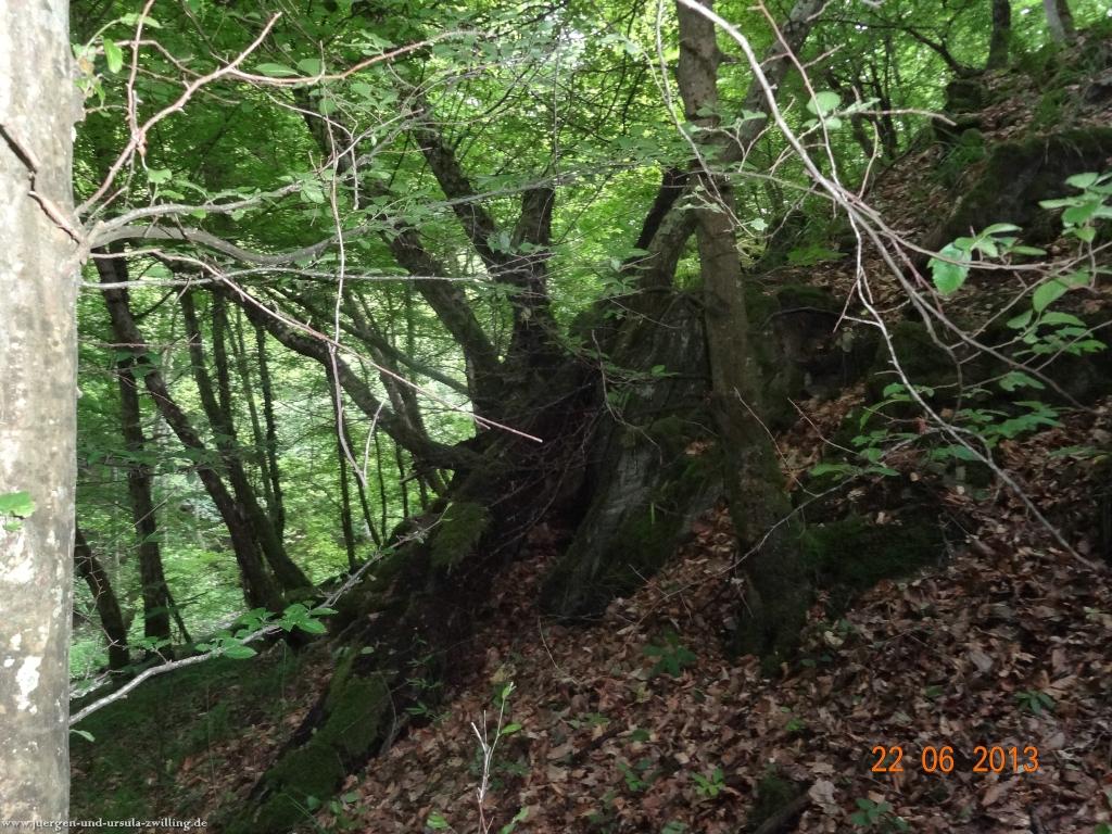 Philosophische Bildwanderung Traumschleife Baybachklamm