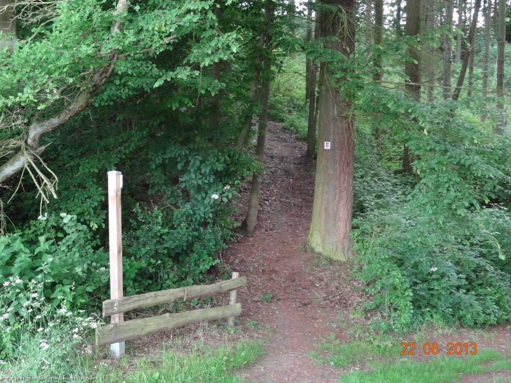 Philosophische Bildwanderung Traumschleife Baybachklamm