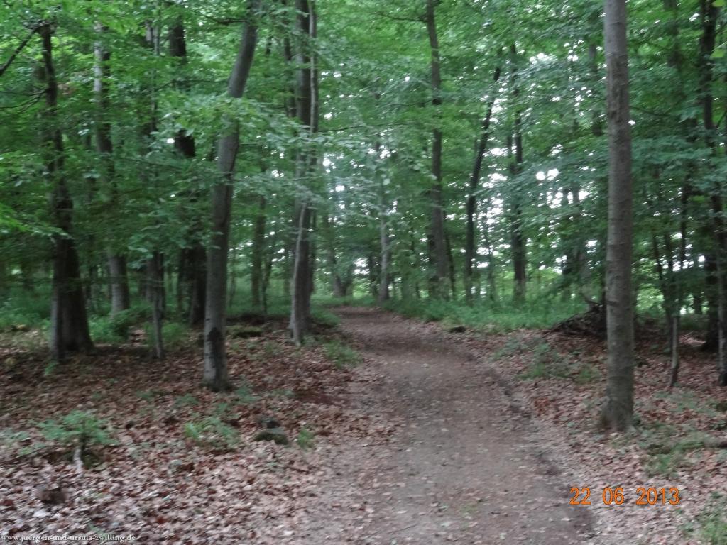 Philosophische Bildwanderung Traumschleife Baybachklamm