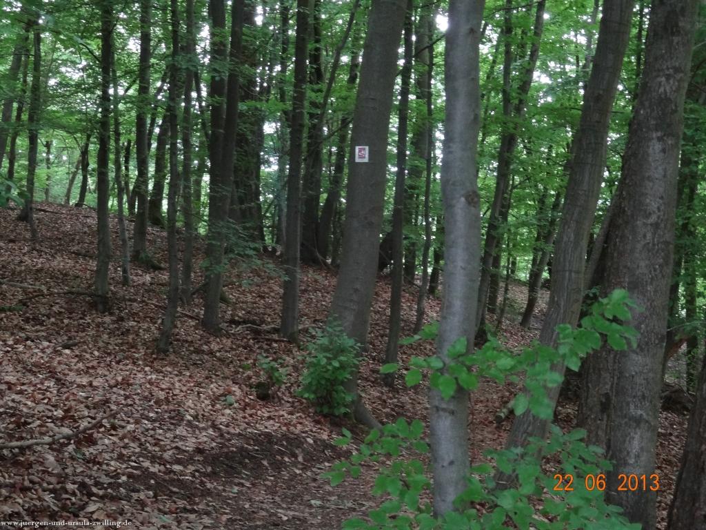 Philosophische Bildwanderung Traumschleife Baybachklamm