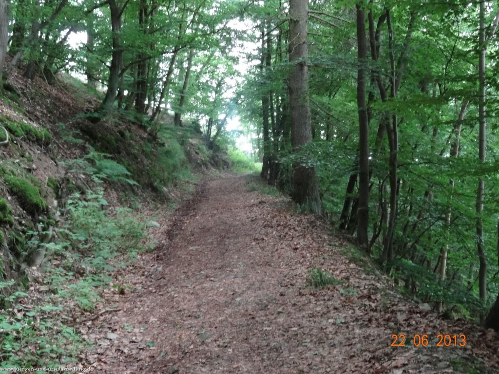 Philosophische Bildwanderung Traumschleife Baybachklamm