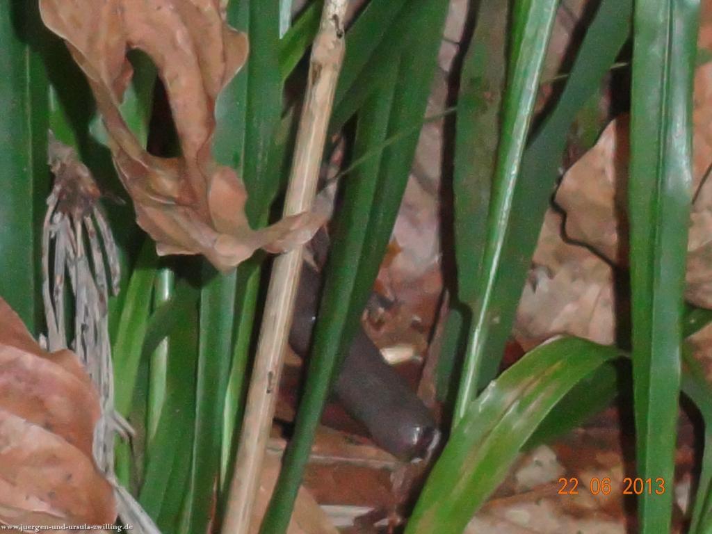 Philosophische Bildwanderung Traumschleife Baybachklamm