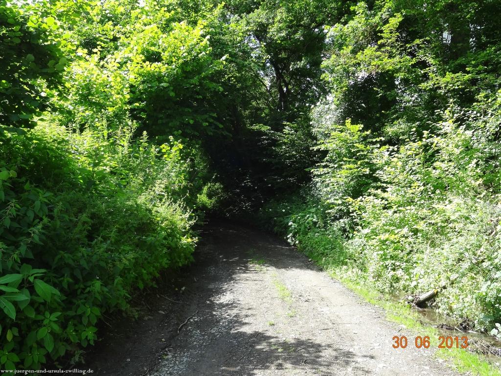 Philosophische Bildwanderung Traumpfad-Monrealer-Ritterschlag