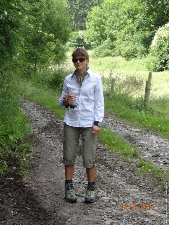 Philosophische Bildwanderung Traumpfad-Monrealer-Ritterschlag