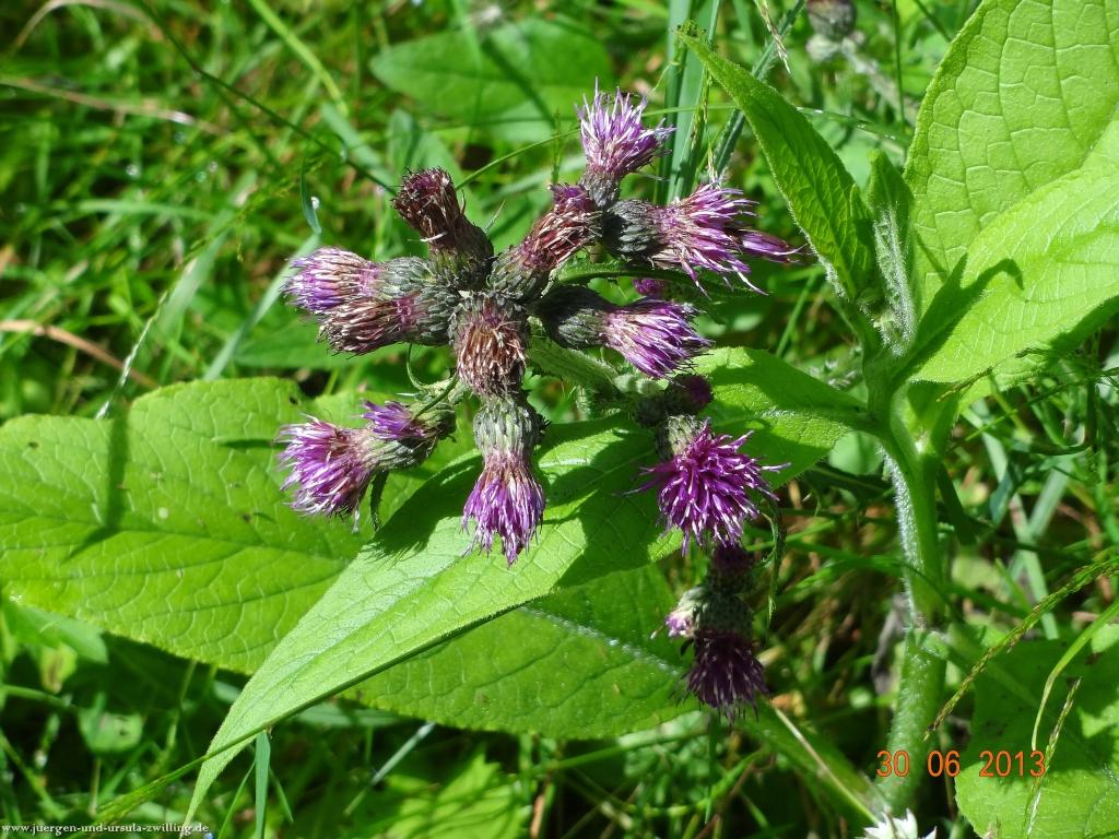 Philosophische Bildwanderung Traumpfad-Monrealer-Ritterschlag