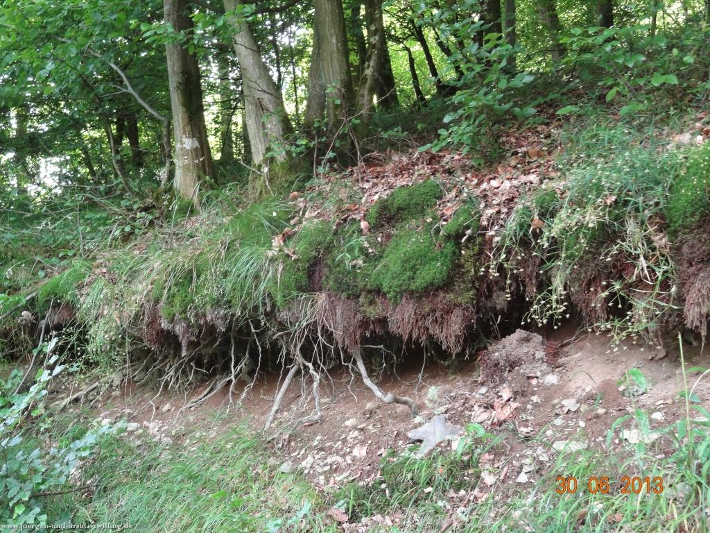 Philosophische Bildwanderung Traumpfad-Monrealer-Ritterschlag