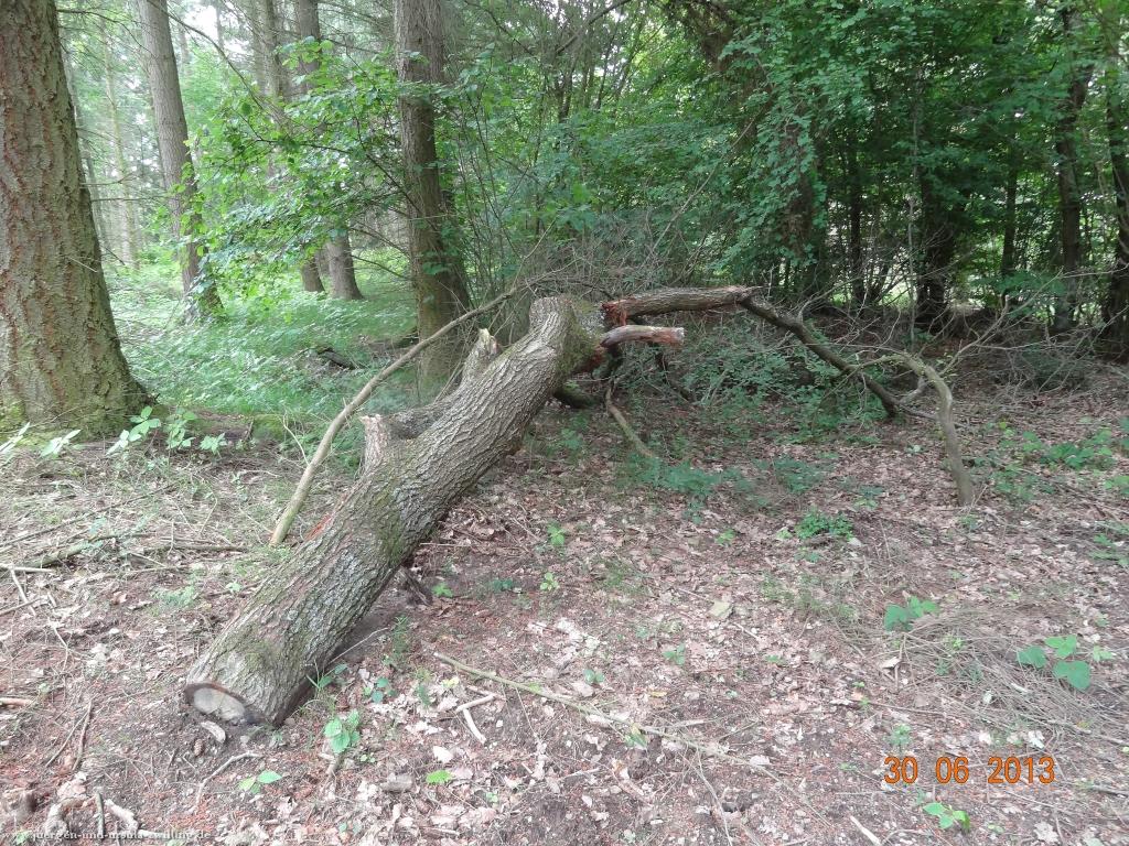 Philosophische Bildwanderung Traumpfad-Monrealer-Ritterschlag