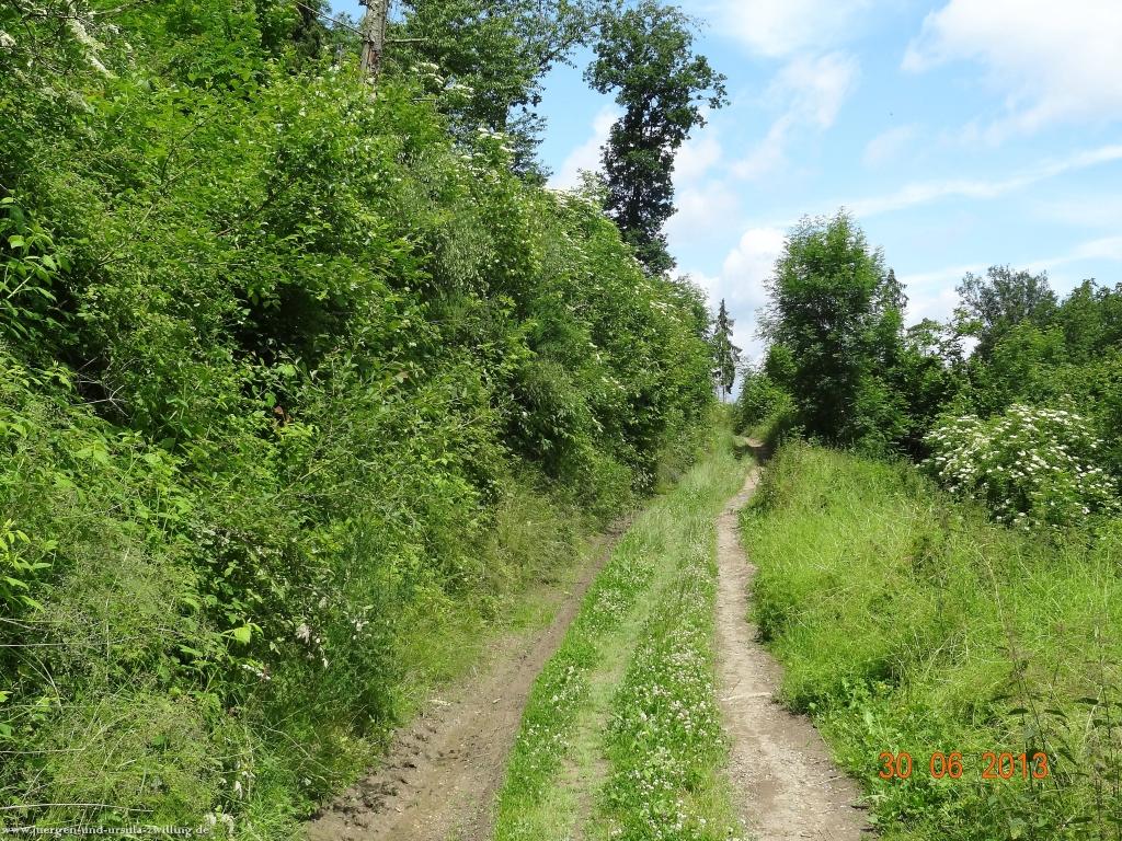 Philosophische Bildwanderung Traumpfad-Monrealer-Ritterschlag