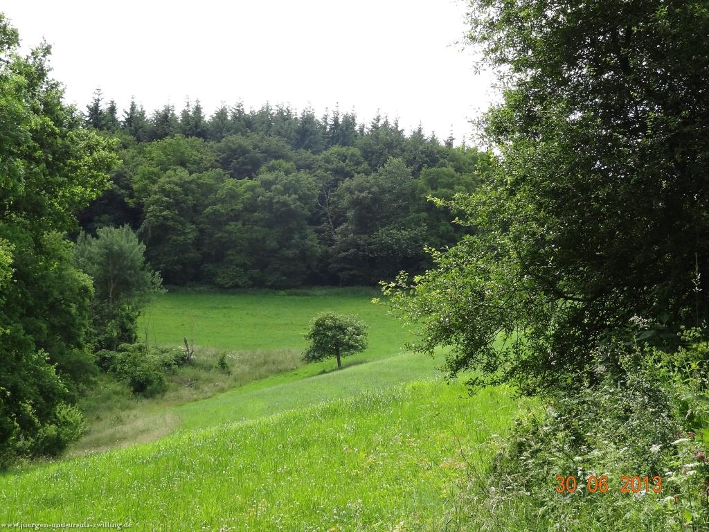 Philosophische Bildwanderung Traumpfad-Monrealer-Ritterschlag