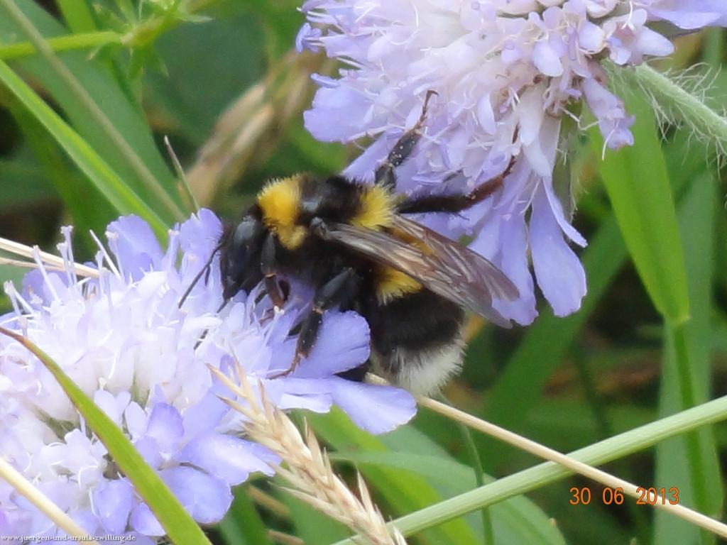 Philosophische Bildwanderung Traumpfad-Monrealer-Ritterschlag