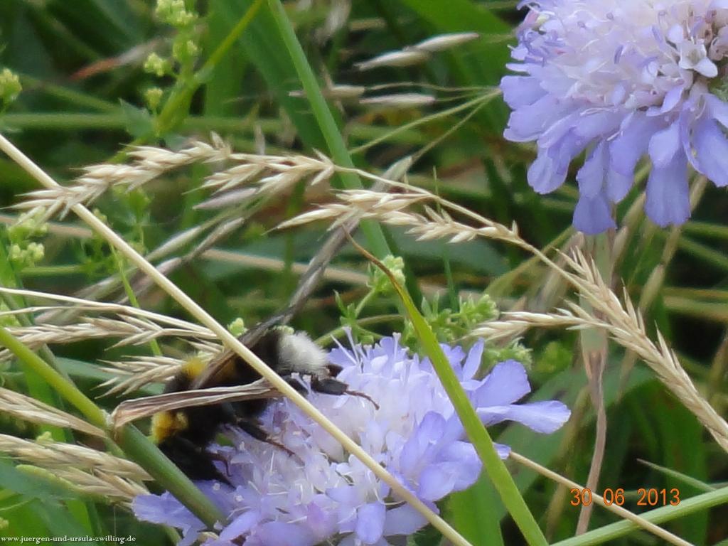 Philosophische Bildwanderung Traumpfad-Monrealer-Ritterschlag