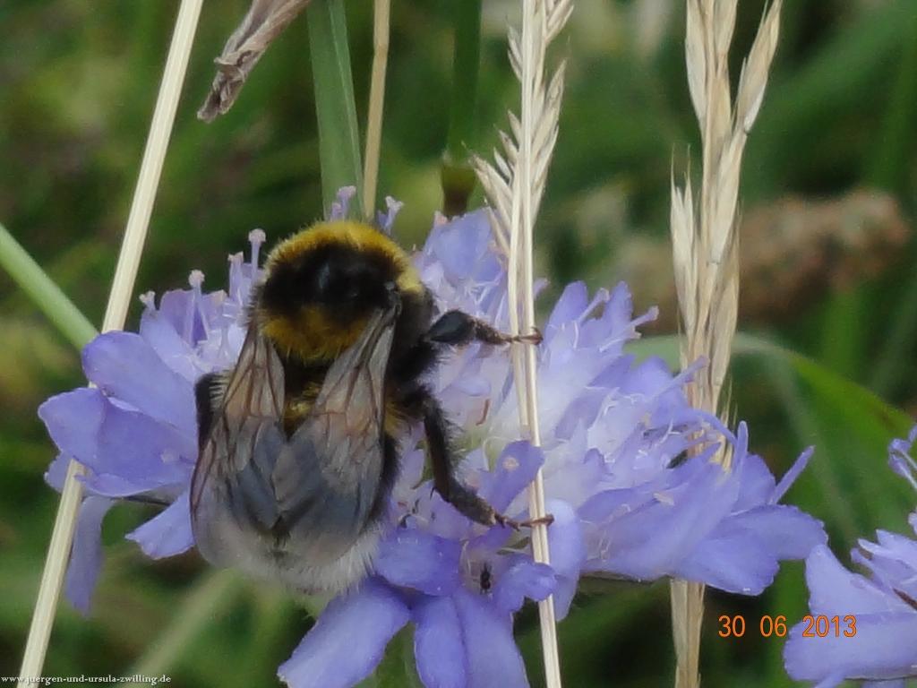 Philosophische Bildwanderung Traumpfad-Monrealer-Ritterschlag