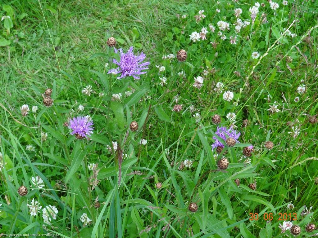 Philosophische Bildwanderung Traumpfad-Monrealer-Ritterschlag