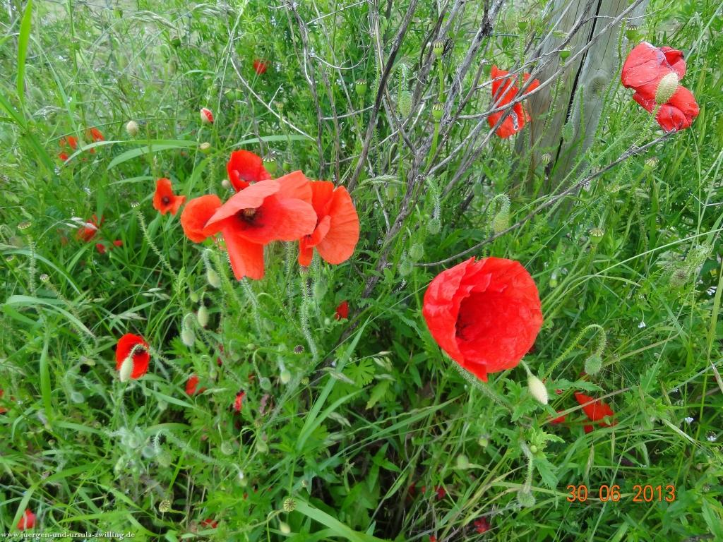 Philosophische Bildwanderung Traumpfad-Monrealer-Ritterschlag