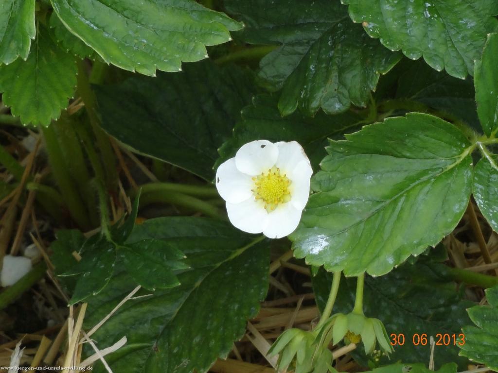 Philosophische Bildwanderung Traumpfad-Monrealer-Ritterschlag