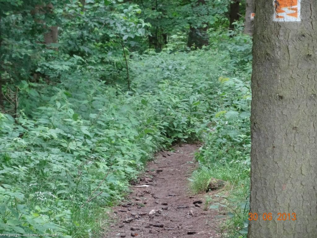 Philosophische Bildwanderung Traumpfad-Monrealer-Ritterschlag