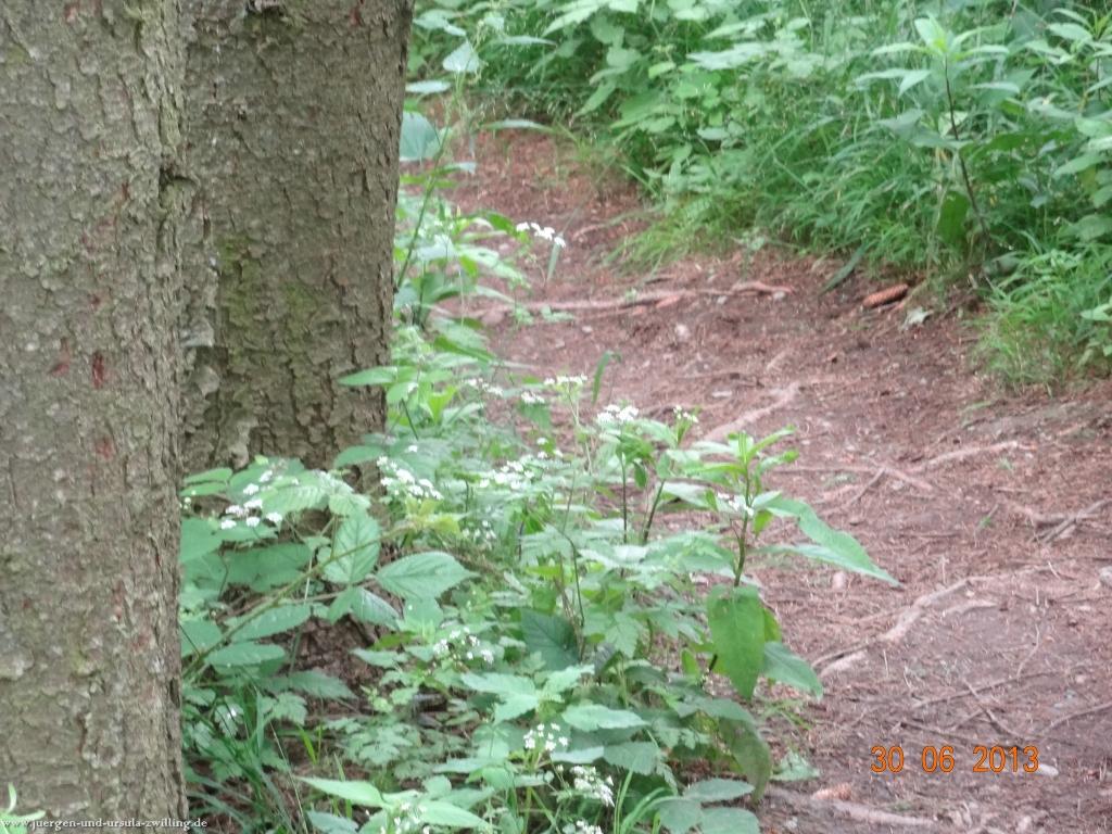 Philosophische Bildwanderung Traumpfad-Monrealer-Ritterschlag