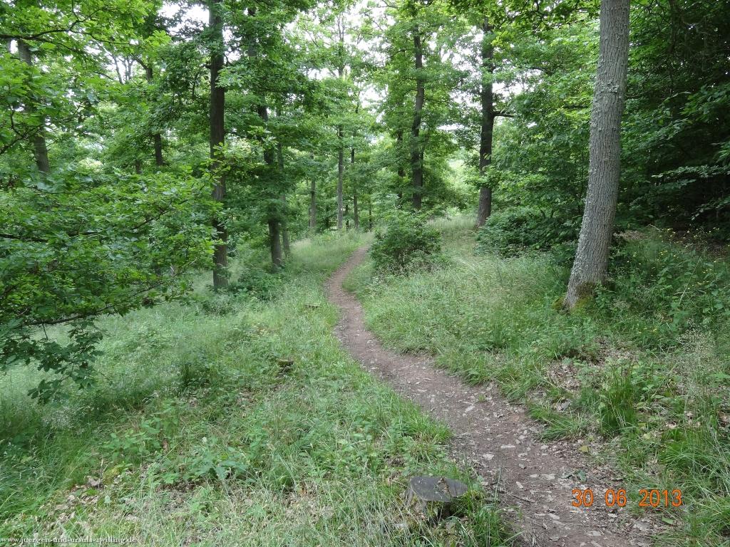 Philosophische Bildwanderung Traumpfad-Monrealer-Ritterschlag