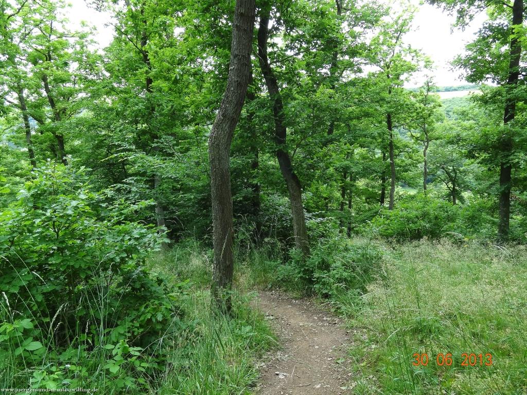 Philosophische Bildwanderung Traumpfad-Monrealer-Ritterschlag