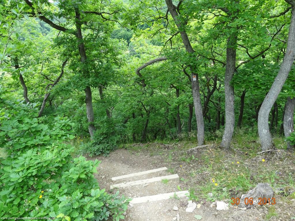 Philosophische Bildwanderung Traumpfad-Monrealer-Ritterschlag