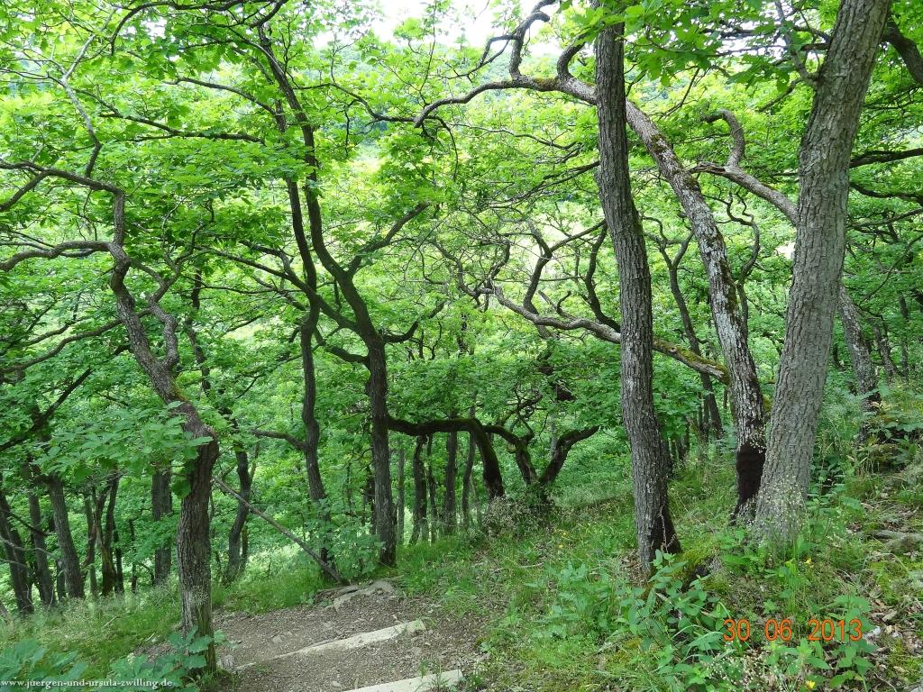 Philosophische Bildwanderung Traumpfad-Monrealer-Ritterschlag