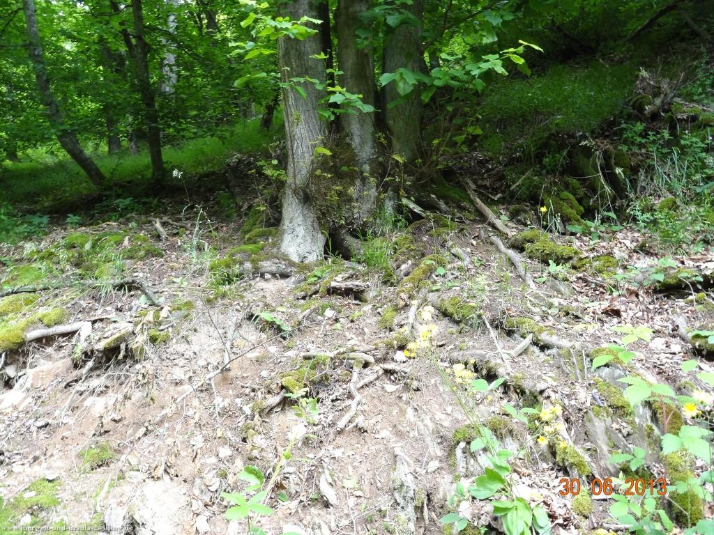 Philosophische Bildwanderung Traumpfad-Monrealer-Ritterschlag