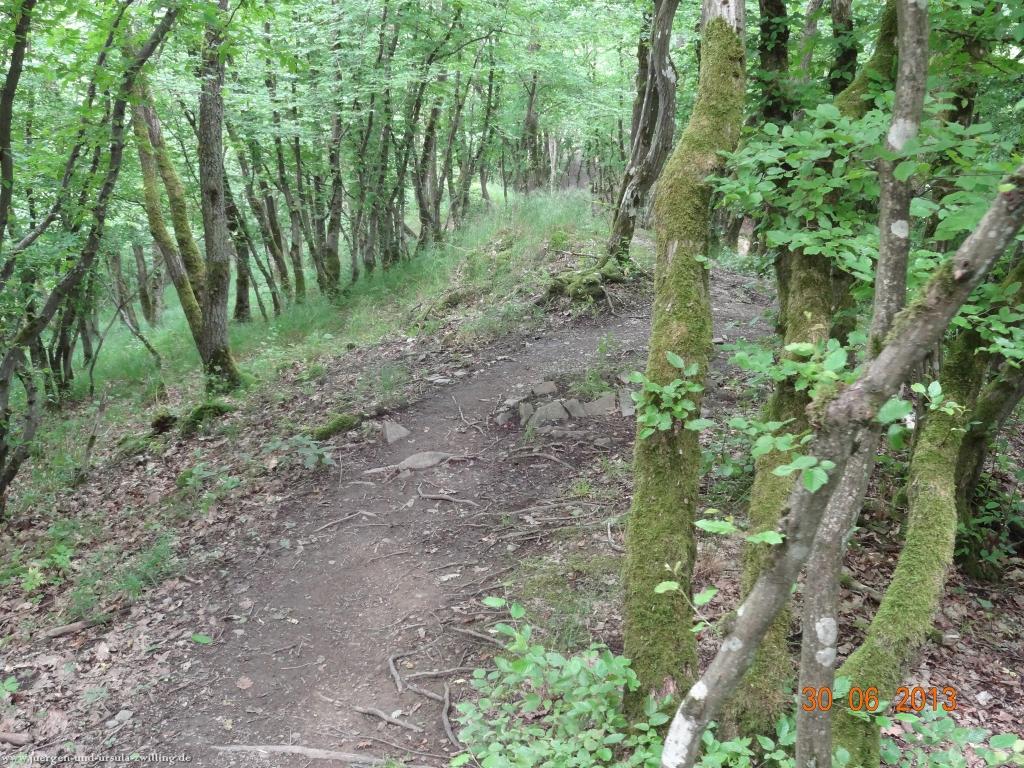 Philosophische Bildwanderung Traumpfad-Monrealer-Ritterschlag