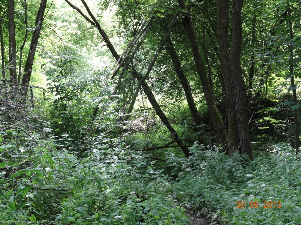 Philosophische Bildwanderung Traumpfad-Monrealer-Ritterschlag