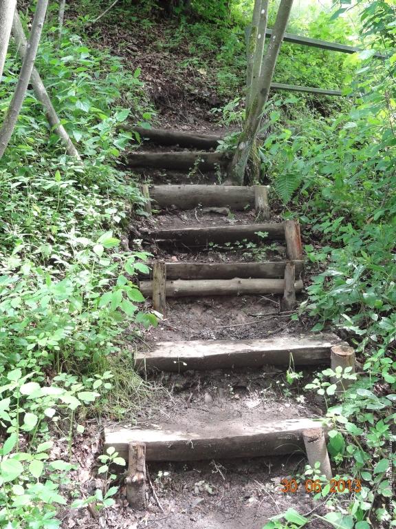 Philosophische Bildwanderung Traumpfad-Monrealer-Ritterschlag