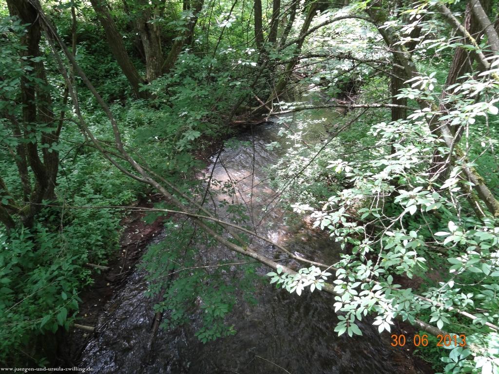 Philosophische Bildwanderung Traumpfad-Monrealer-Ritterschlag