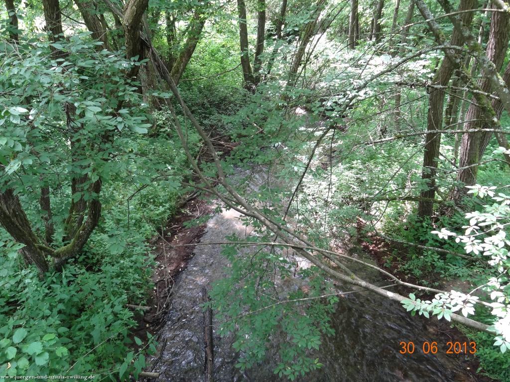 Philosophische Bildwanderung Traumpfad-Monrealer-Ritterschlag