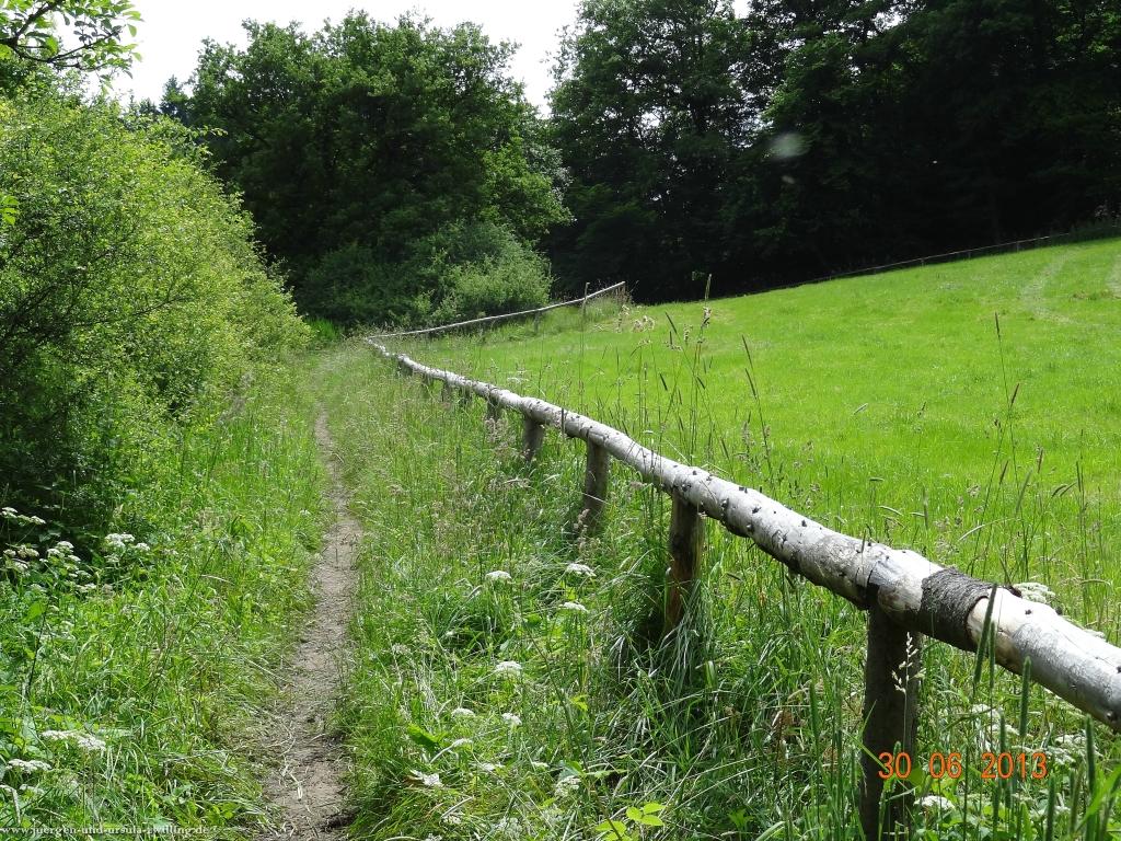 Philosophische Bildwanderung Traumpfad-Monrealer-Ritterschlag