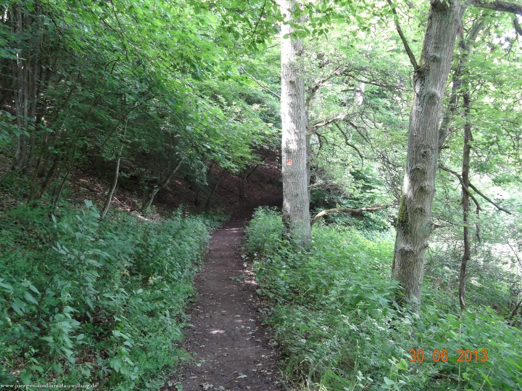 Philosophische Bildwanderung Traumpfad-Monrealer-Ritterschlag