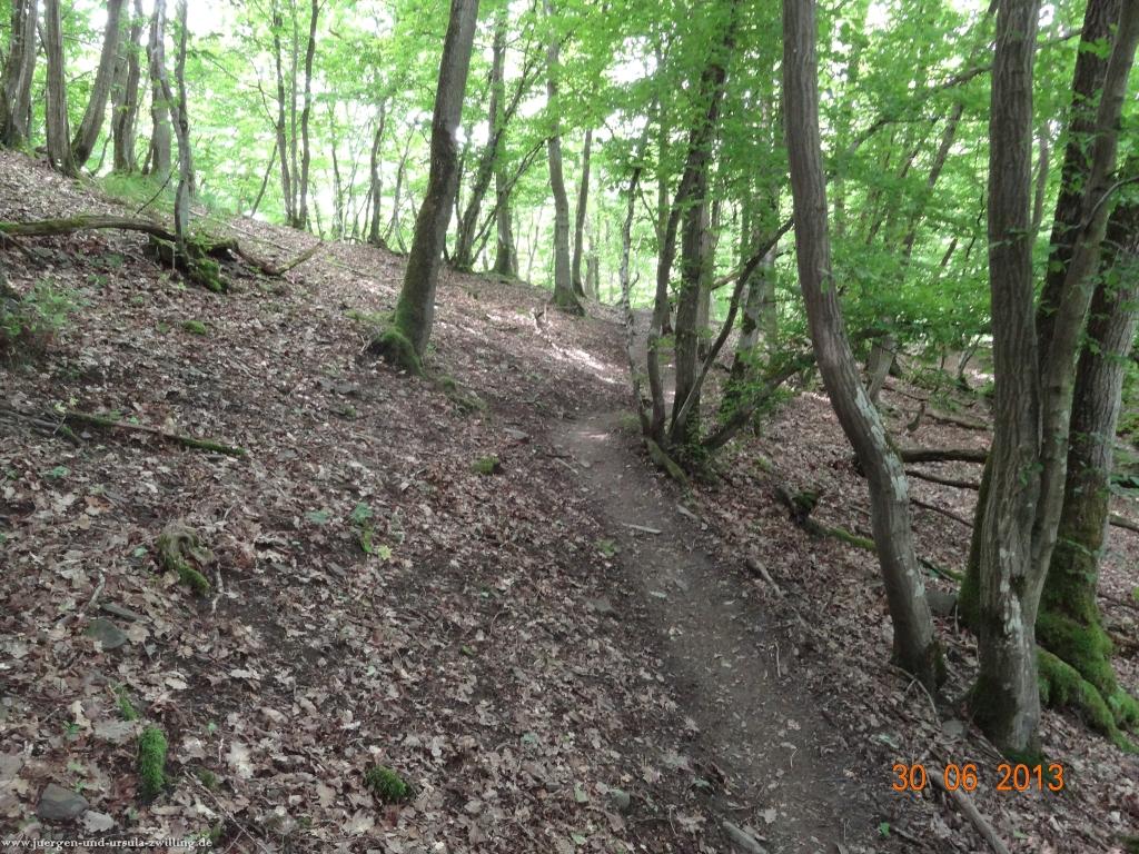 Philosophische Bildwanderung Traumpfad-Monrealer-Ritterschlag