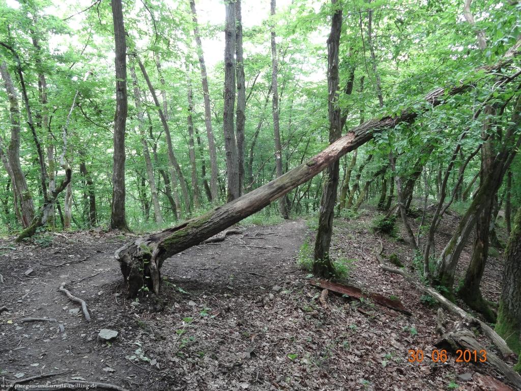 Philosophische Bildwanderung Traumpfad-Monrealer-Ritterschlag