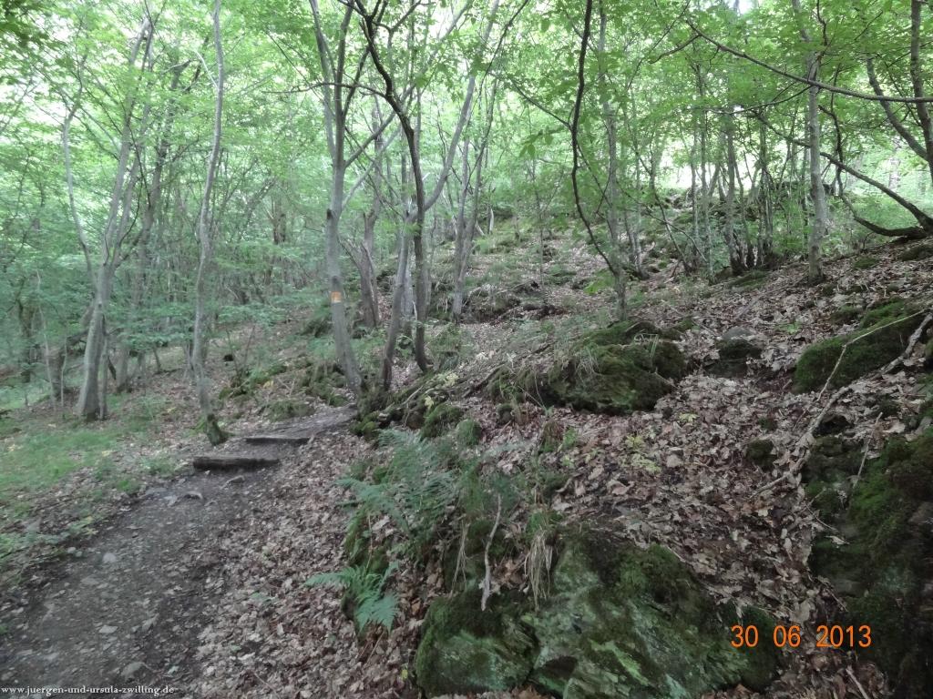 Philosophische Bildwanderung Traumpfad-Monrealer-Ritterschlag