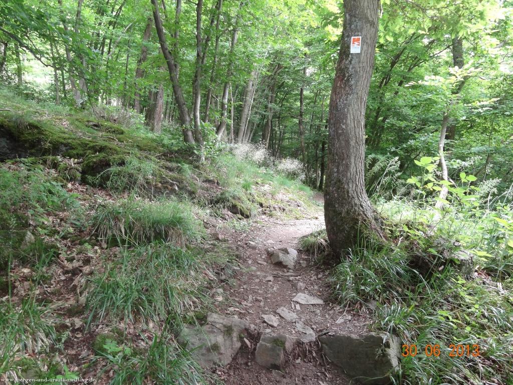 Philosophische Bildwanderung Traumpfad-Monrealer-Ritterschlag