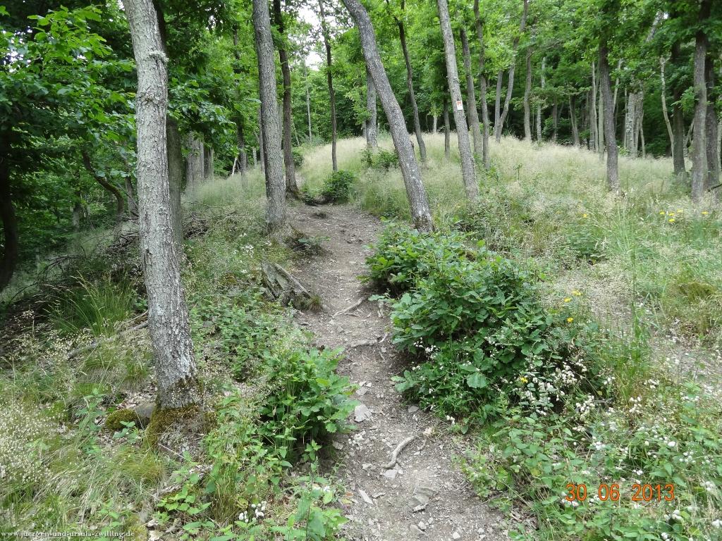 Philosophische Bildwanderung Traumpfad-Monrealer-Ritterschlag